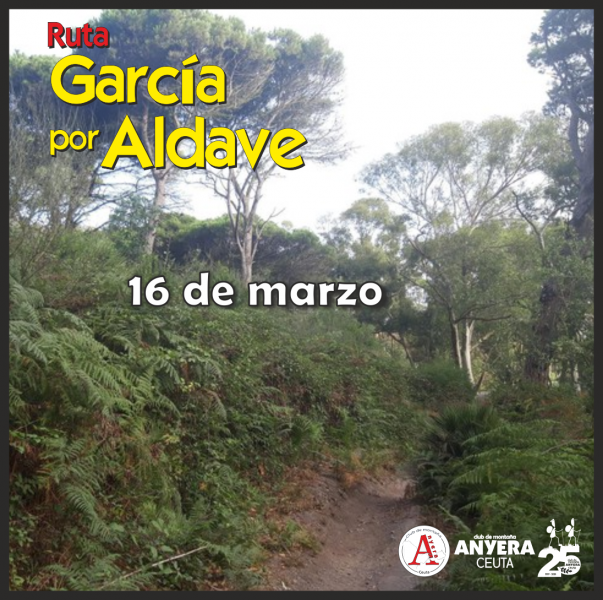 15-GAldave