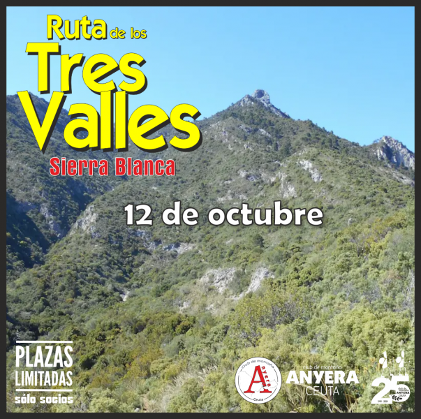 23-3VALLES