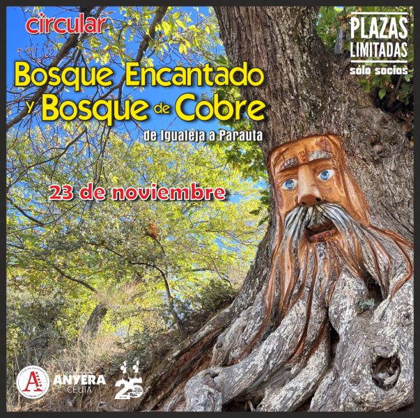 26-b_encantado