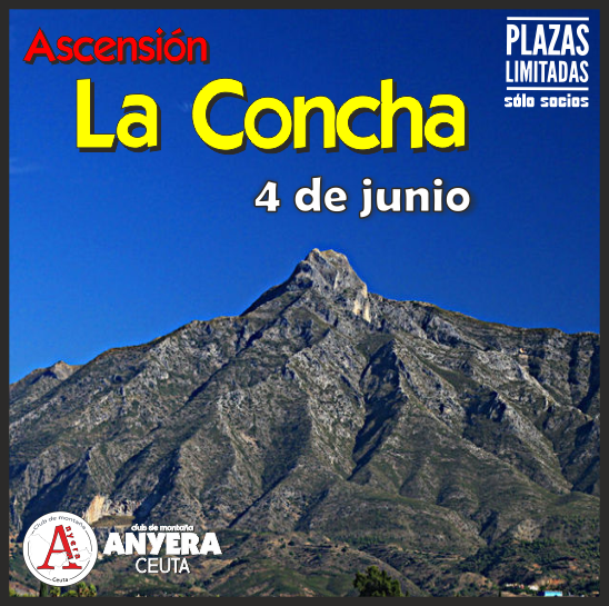 concha_rsz